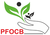 P-FOCB